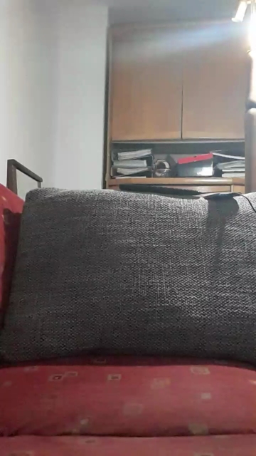 JPO1981  04-11-2021 Recorded Video Webcam